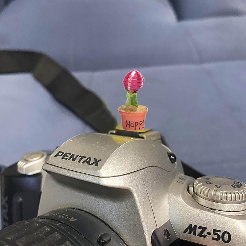 MENGSOOD Camera Hot Shoe Cover, Cartoon Plants Cactus Hot Shoe Cap, Hot Shoe Protector Compatible with Sony Fujifilm Fuji Canon Nikon Pentax Leical Panasonic (2pcs Happy Baby) - Image 3